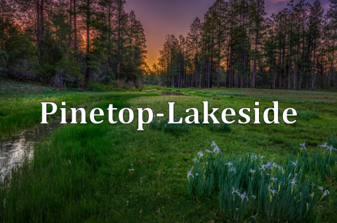 Pinetop Lakeside 