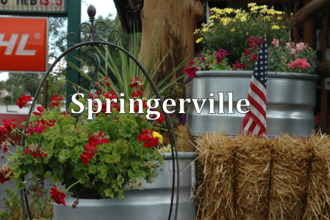 Springerville 