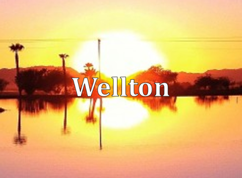Wellton 