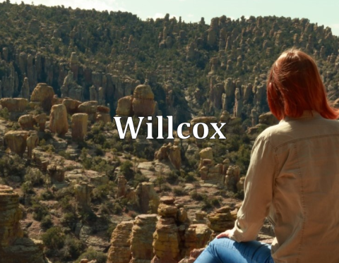 Willcox